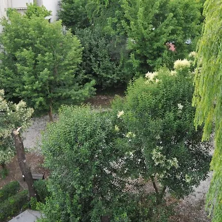 Garden מלון *