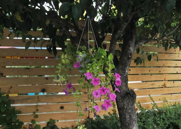Garden *